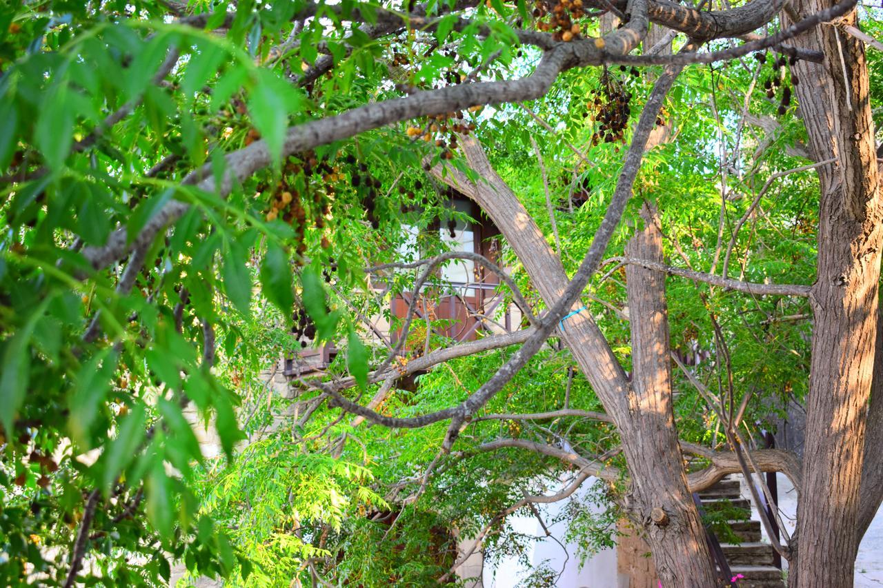 Vasilopoulos House توشني المظهر الخارجي الصورة